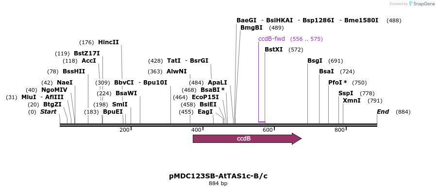 80710_map