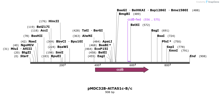 80711_map