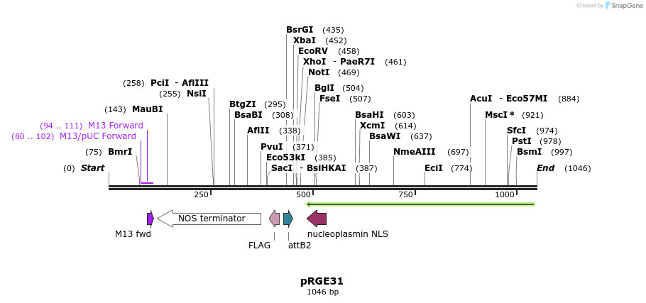 80712_map