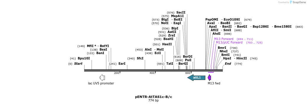 80713_map