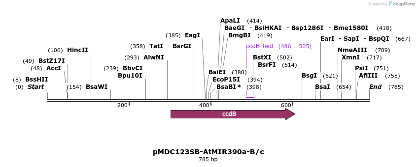 80714_map