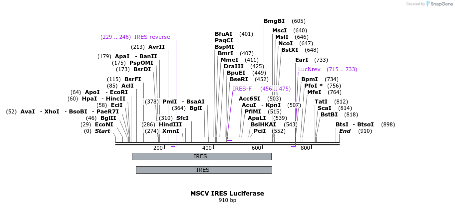 80715_map