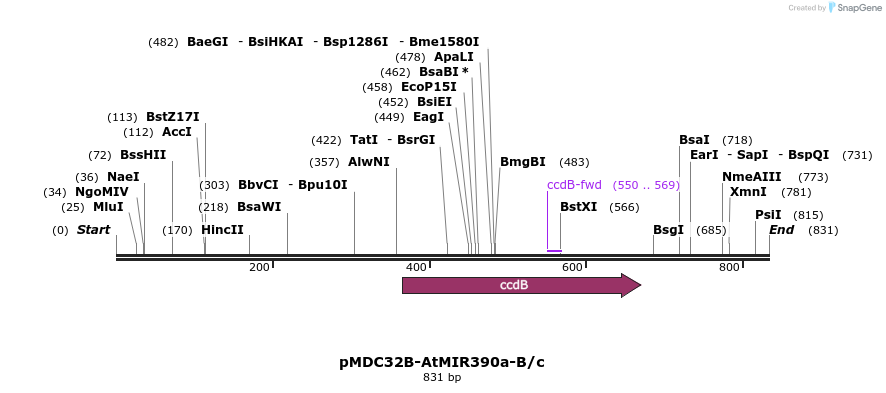 80716_map