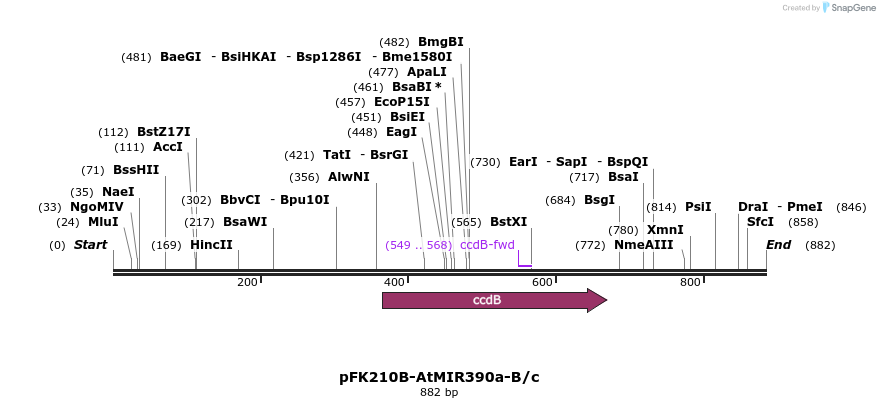 80718_map