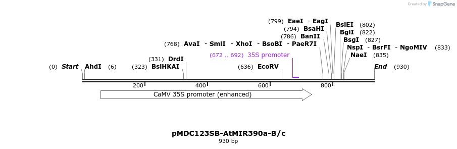 80721_map