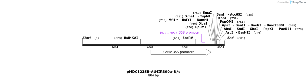 80723_map