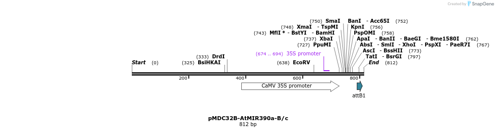 80725_map