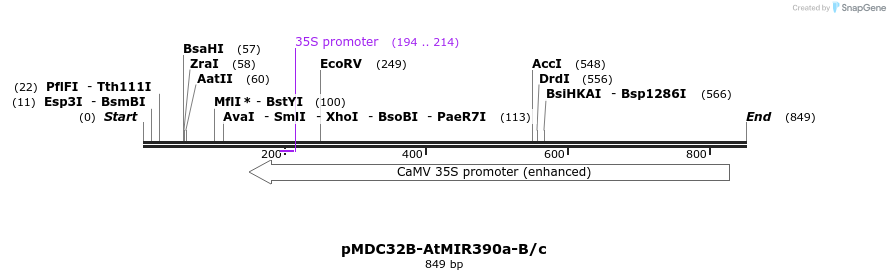 80727_map