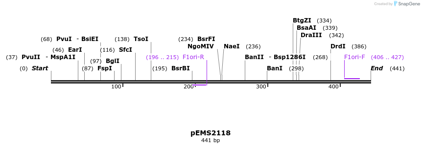 80728_map