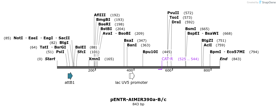 80729_map