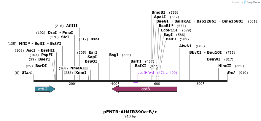 80730_map