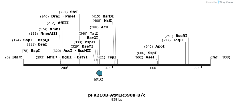80733_map