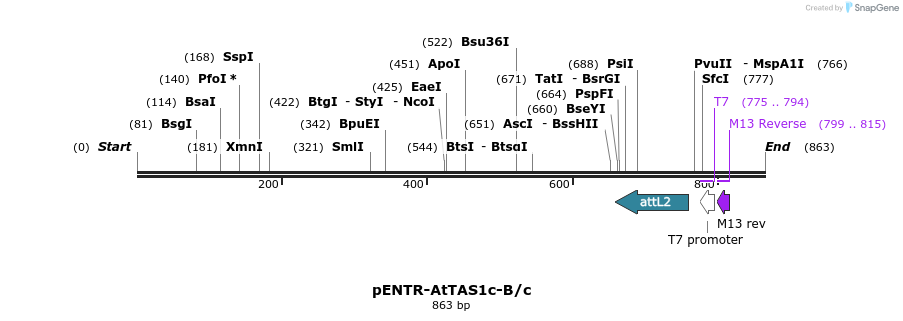 80735_map