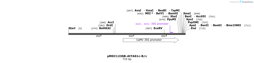 80737_map