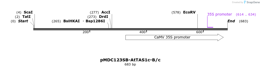80738_map