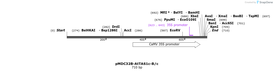 80741_map