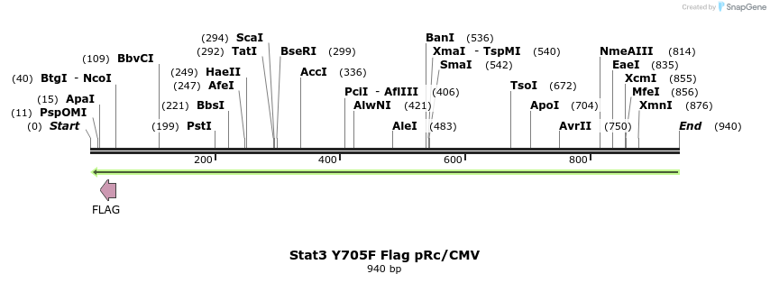 80742_map