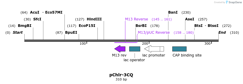 80746_map