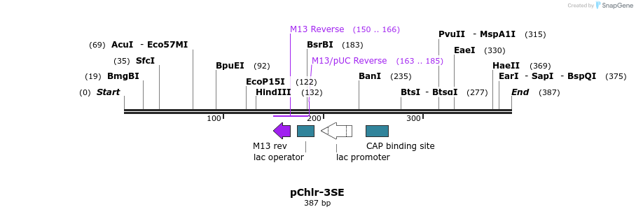 80747_map