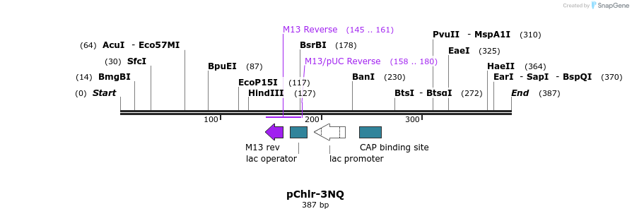 80749_map