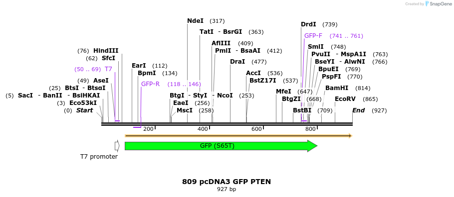 80752_map