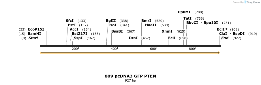 80753_map