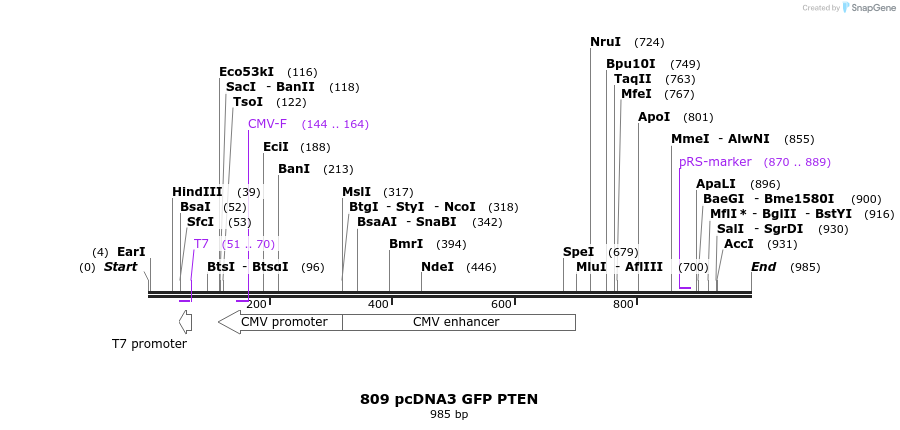 80754_map