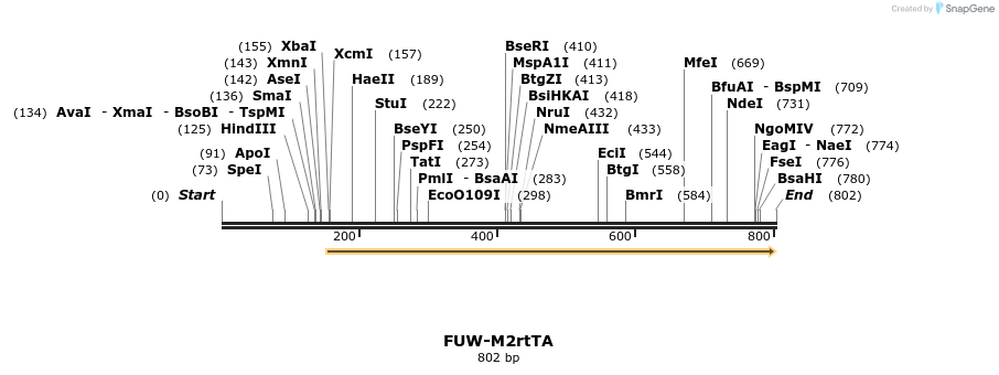 80756_map