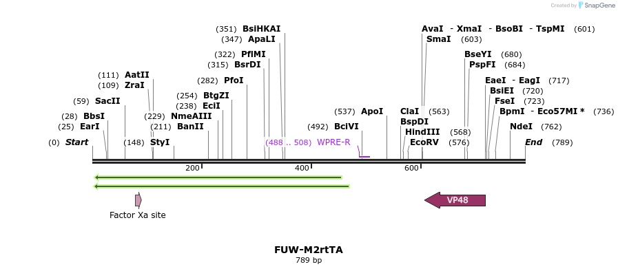 80757_map