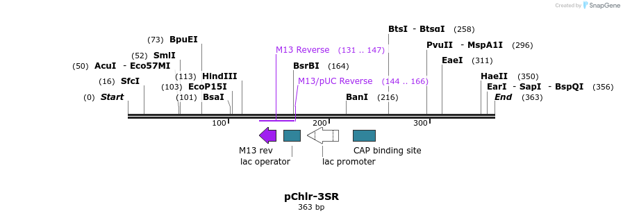 80758_map