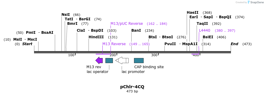 80759_map