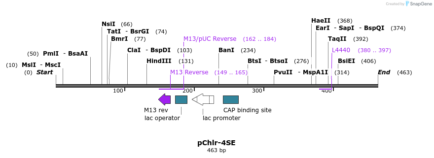 80760_map