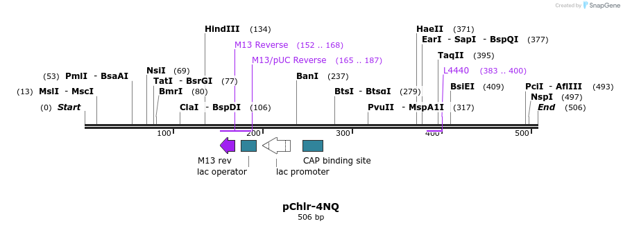 80761_map
