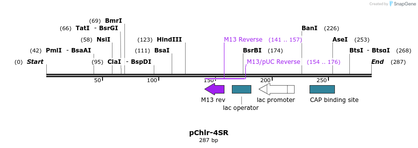 80762_map