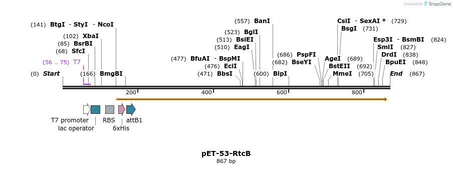 80763_map