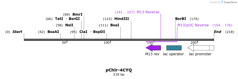 80764_map