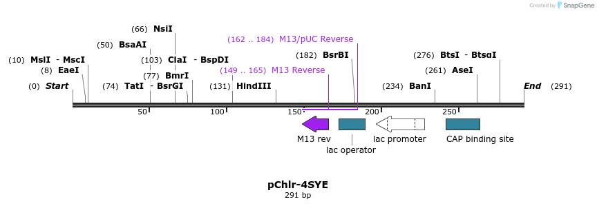 80765_map