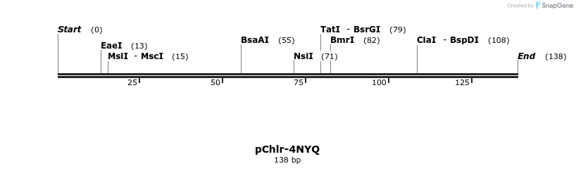 80766_map