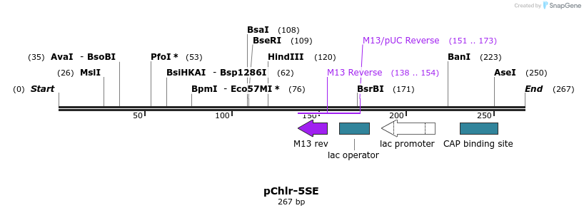 80768_map