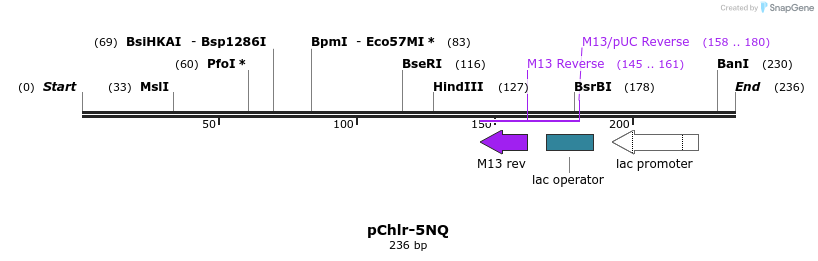 80769_map