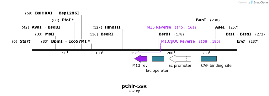80770_map
