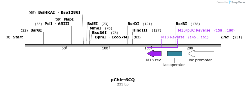 80771_map
