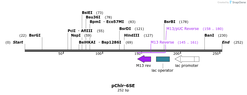 80772_map