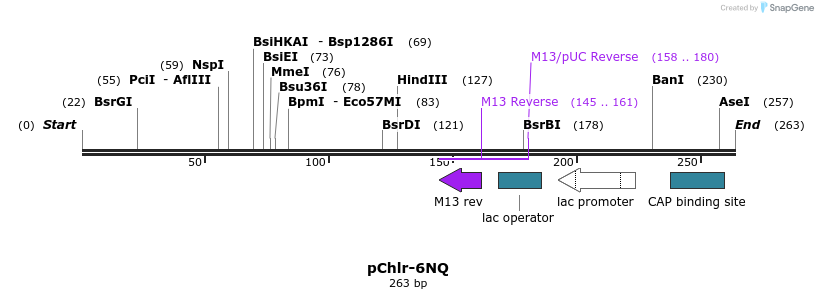 80773_map
