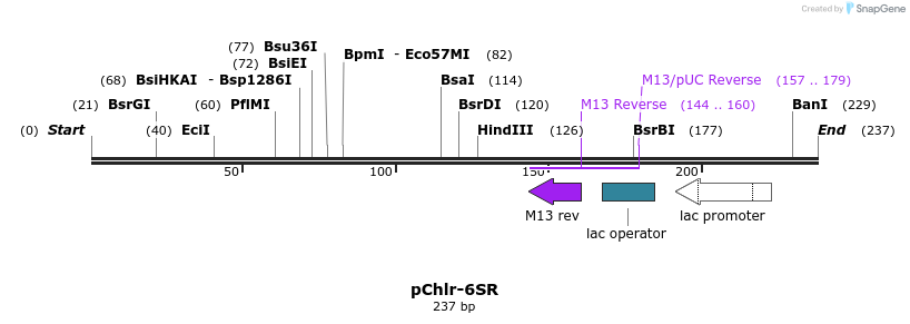 80774_map