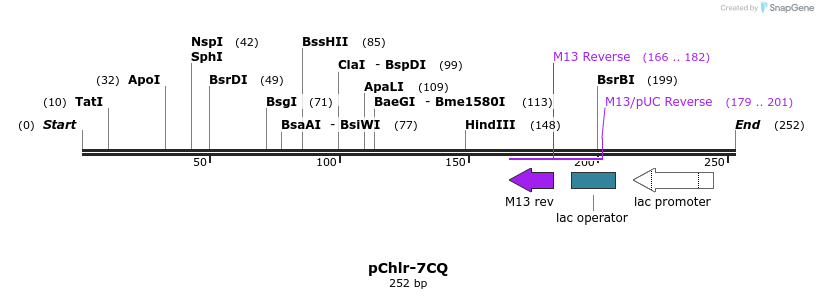 80775_map