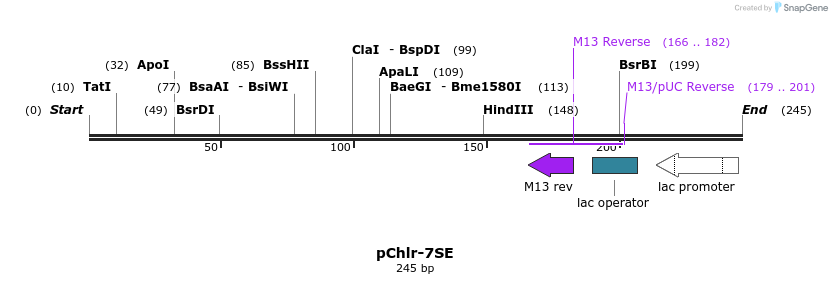 80776_map