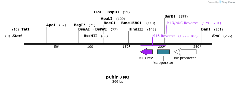 80777_map
