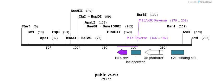 80778_map