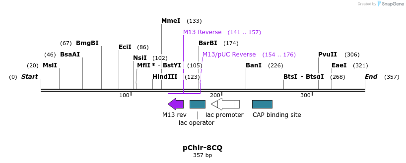80779_map